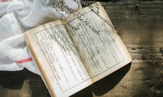 李清照最美的词取网名 李清照诗词网名大全