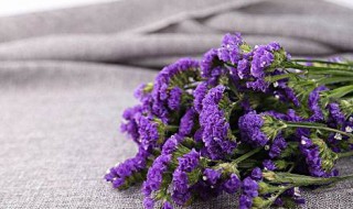 勿忘我插花要放水吗 勿忘我插花瓶要放水吗