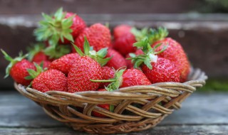 草莓籽怎么种植（四季草莓籽怎么种植）