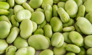 蚕豆怎么种植（蚕豆怎么种植方法如下）