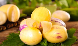 人参果树苗怎么种植（怎样栽种人参果苗）