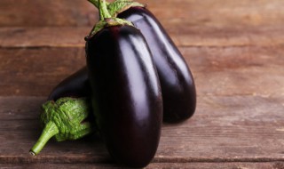 茄子怎么种植 茄子怎么种植好