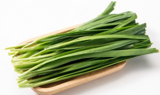 韭菜根怎么种植 韭菜根怎么种植方法