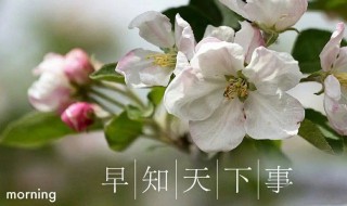 2022年农历三月十九适合开工吗(2022年农历三月十九是黄道吉日吗)