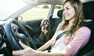 副驾驶的安全带怎么系 副驾驶的安全带怎么系图片