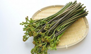 凉拌蕨菜怎么做好吃(蕨菜怎么凉拌好吃么做好吃)
