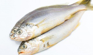 鱼头怎么做好吃啊 鱼头怎么做才好吃呢