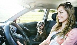 etc怎么办理在哪办（etc怎么办理在哪办理）