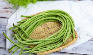 豆角怎么种植 豆角怎么种植方法视频