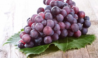 葡萄树苗怎么种植 阳光玫瑰葡萄树苗怎么种植