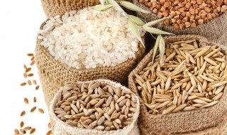 水稻怎么种植高产 水稻怎样高产栽培技术