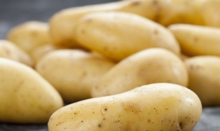 土豆怎么水培种植 土豆怎么水培种植方法