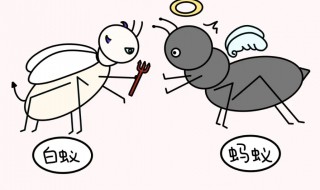 白蚁飞进家里怎么处理（白蚁飞进家里怎么办）