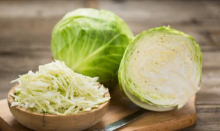 室内种菜怎么种 室内种菜需要什么条件