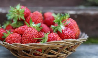 家种草莓怎么种植方法（怎样栽种草莓）