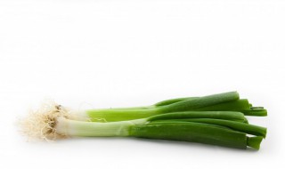 小葱怎么种植方法（小葱怎么种植方法最好）