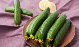 黄瓜种子怎么种植 满地爬黄瓜种子怎么种植