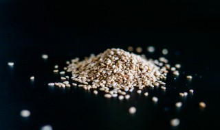 芝麻怎么种植 芝麻怎么种植图片