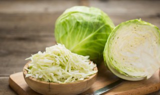 小白菜种子怎么种植（小白菜种子怎么种植方法）