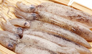 海兔子怎么清洗（海兔子怎么清洗图解法）