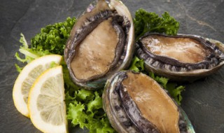 鲍鱼怎么清洗保存方法 清洗过的鲍鱼怎么保存