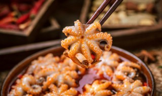 小八抓鱼怎么清洗(小八爪鱼怎么清理)