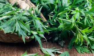 艾草怎么煮 艾草怎么煮鸡蛋