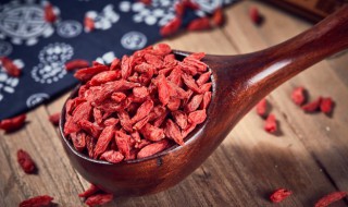 枸杞树怎么种植（枸杞树怎么种植方法剪枝盆栽）