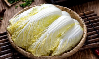 娃娃菜怎么种植 娃娃菜怎么种植和管理