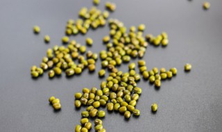 怎么种植绿豆 怎么种植绿豆苗