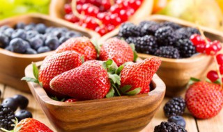 白草莓怎么种植（白草莓怎么养）