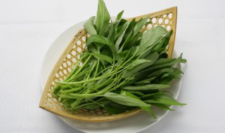 青菜怎么种植(速生小青菜怎么种植)