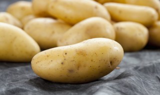 土豆发芽后怎么种植（土豆如何发芽种植）