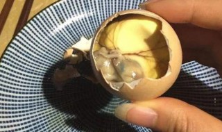 活珠子怎么保存 熟的活珠子怎么保存