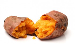 红薯怎么水种植方法 红薯的水培种植方法