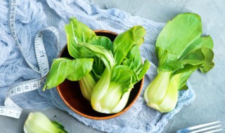 鸡毛菜怎么种 鸡毛菜怎么种植容易发芽方法