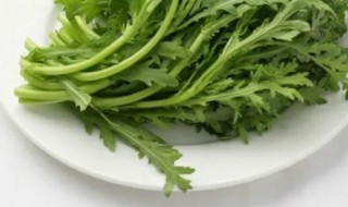 茼蒿菜怎么种(茼蒿菜怎么种植高产)