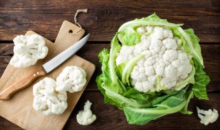 花菜怎么种（大叶菊花菜怎么种）