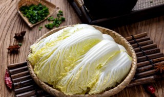 娃娃菜怎么种 娃娃菜怎么种植