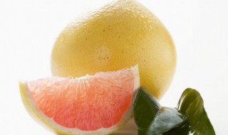 柚子苗怎么种植 柚子苗怎么种植长得快