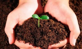 为什么土壤加热后会变色 土壤经过高温会变成什么