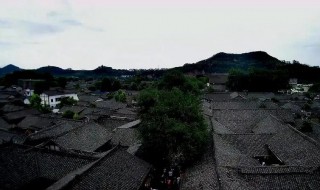 中天楼在四川什么地方（楼天中在哪里）