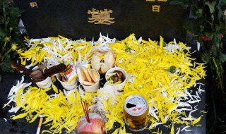 扫墓是干嘛的（扫墓是什么?）