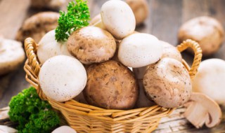 红烧口蘑的做法 红烧口蘑的做法窍门