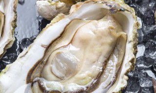 生蚝怎么清洗干净（生蚝怎么清洗）