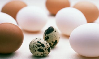 无菌蛋真的无菌吗 日本无菌蛋真的无菌吗