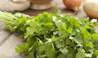 蒸香菜需要蒸几分钟 香菜能蒸吗