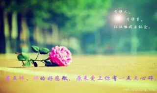 微信网名最新版（微信网名最新版的女生）