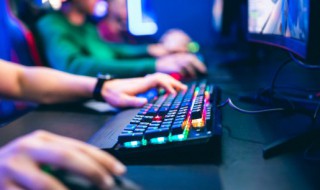 家园卫士一类的游戏(家园卫士类型的游戏)