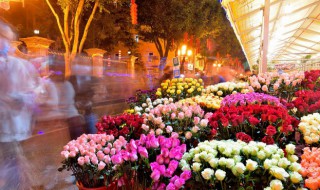 为什么夏天中午不能浇花（夏天中午可以浇花儿吗?）